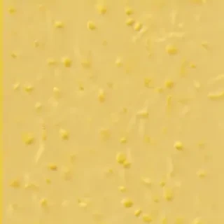aesthetic yellow bg