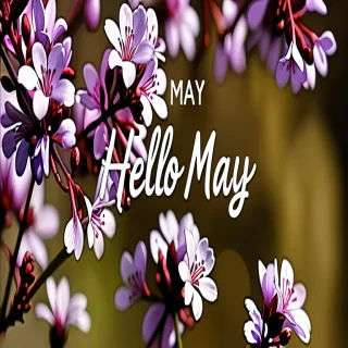 hello may images