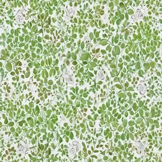 background white and green