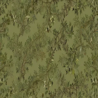 olive green aesthetic wallpaper