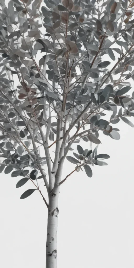 eucalyptus clipart black and white