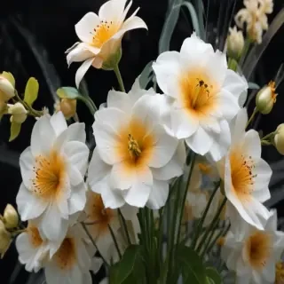 flowers behind glass wallpaper