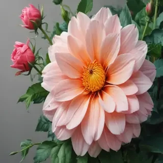 color drawings of flowers