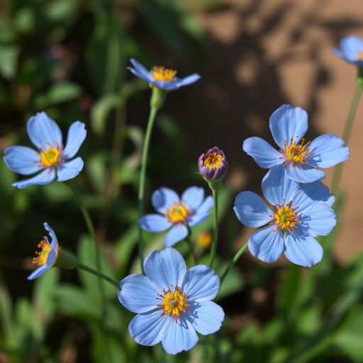 blue flowers png
