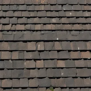 pictures of shingles