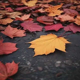 autumn background iphone