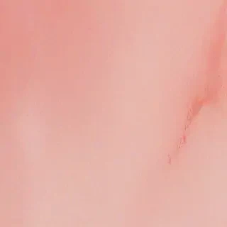 blush background