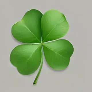 4 leaf clover png
