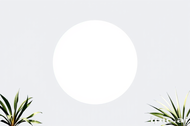 circle frame png