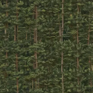pine trees png