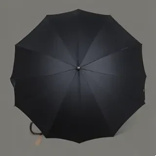 umbrella png