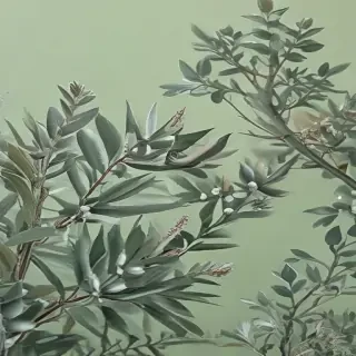 sage green aesthetic background