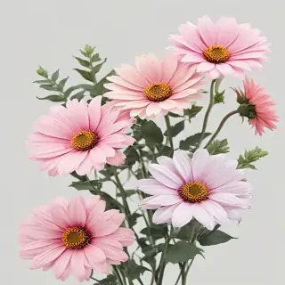 aesthetic flowers transparent background