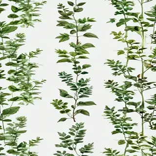 plants transparent background