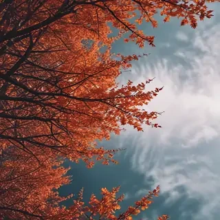 fall wallpaper iphone aesthetic