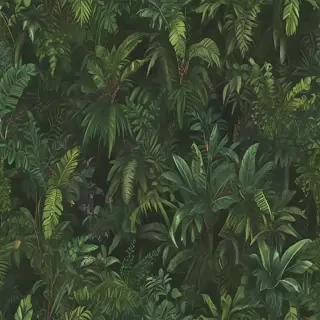 jungle png