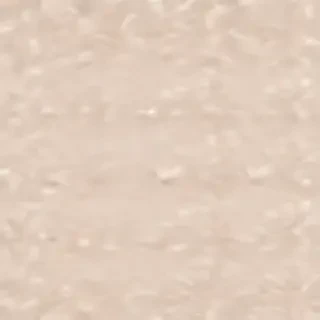 neutral aesthetic background