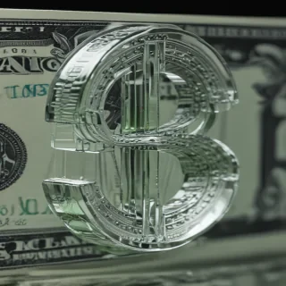 transparent dollar sign