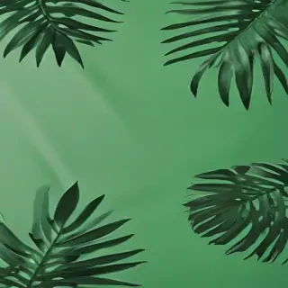 aesthetic green background