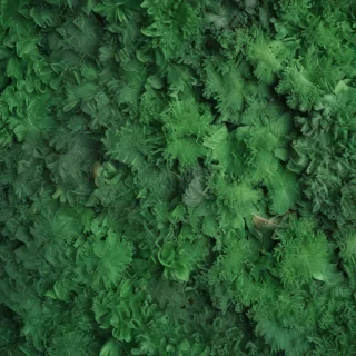 background green texture