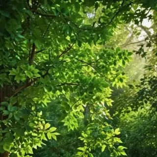 background with green leaves