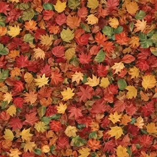 fall leaves