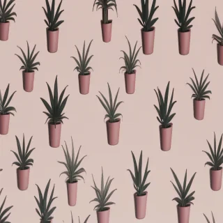 indie aesthetic wallpaper
