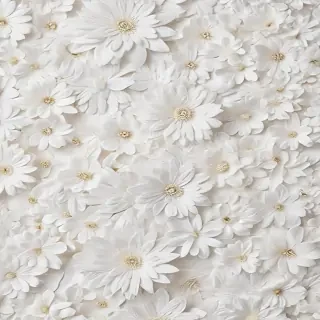 flower background white