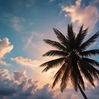 summer phone backgrounds