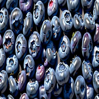 blueberry png
