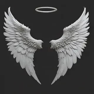 angel wings png