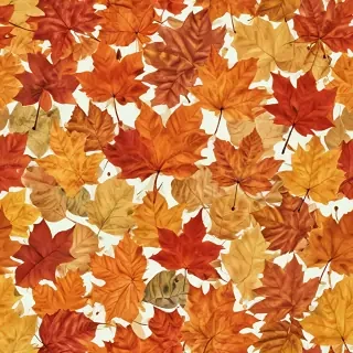 autumn leaves png