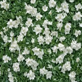green and white background