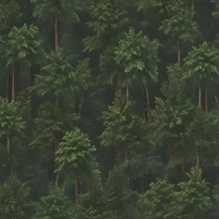 forest png