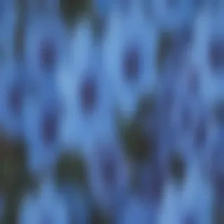 blue flowers aesthetic