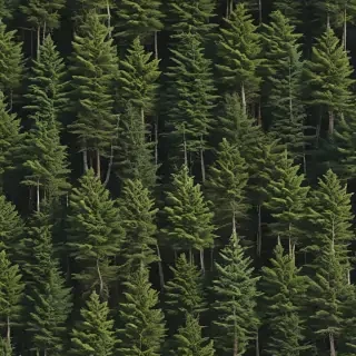 background trees