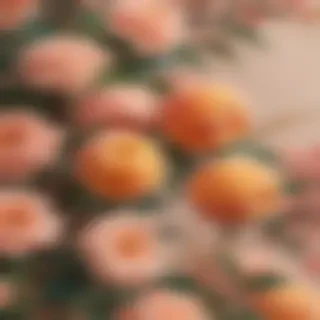 peach aesthetic wallpaper