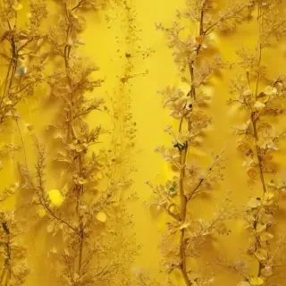 yellow aesthetic background