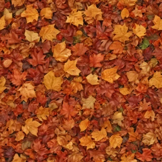 fall leaves aesthetic