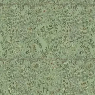 sage green bg