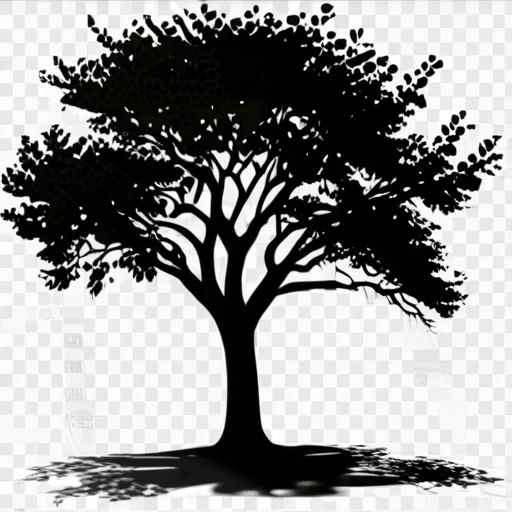 tree shadow png