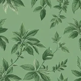sage green wallpaper aesthetic