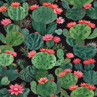 iphone cactus wallpaper