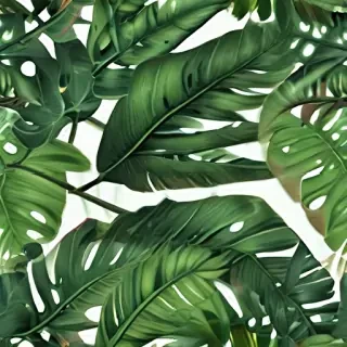 tropical leaf png