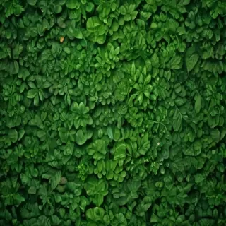 green wallpaper for iphone