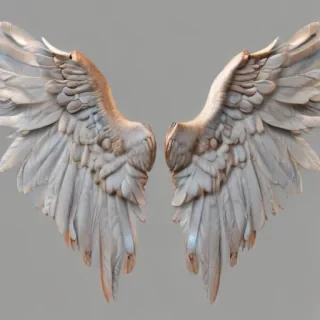 angel wings png transparent
