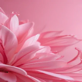 pink iphone wallpaper hd