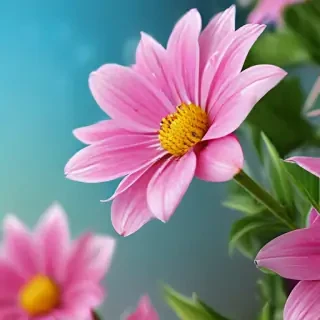 full screen flower wallpaper hd