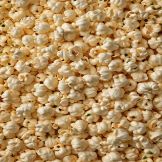 popcorn png