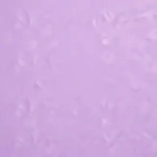 pastel purple background